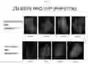 Fig. 07 - Early endosperm promoter and methods of use
