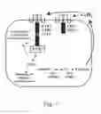 Fig. 02 - seeds and plants with reduced expression of the ACS2 gene