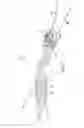 Fig. 02 - SAFETY RAZOR WITH PIVOT AND ROTATION