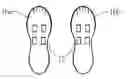 Fig. 01 - OUTER SOLE SUPPORT
