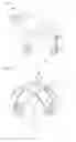 Fig. 02 - DOME TYPE STRUCTURE
