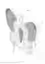 Fig. 06 - DECORATIVE WALL COVERING