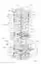 Fig. 02 - Vertical frame intended for the construction of a frame support, a supporting scaffold and/or a supporting scaffold tower