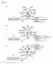 Fig. 12 - Sensing device and sensing method