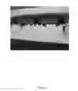 Fig. 09 - Controlled release of actives for materials used in construction