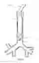 Fig. 03 - Self-sizing adjustable endotracheal tube