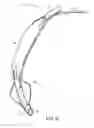 Fig. 06 - Self-sizing adjustable endotracheal tube