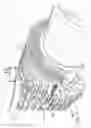 Fig. 02 - Dovetail treating apparatus