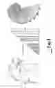 Fig. 02 - Fluid flow control device