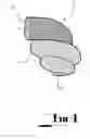 Fig. 05 - Fluid flow control device