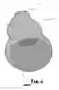 Fig. 06 - Fluid flow control device