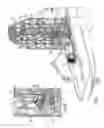 Fig. 02 - Well apparatus