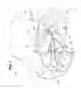Fig. 02 - Vehicle body rear part structure