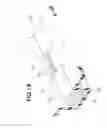 Fig. 19 - Vehicle body rear part structure