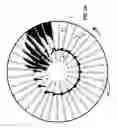 Fig. 03 - Turbo pulp lifter
