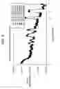 Fig. 06 - Source compensated formation density measurement method by using a pulsed neutron generator