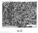 Fig. 03 - Halogen containing-polymer nanocomposite compositions, methods, and products employing such compositions