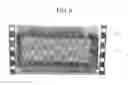 Fig. 07 - Heat releasing semiconductor package, method for manufacturing the same, and display apparatus including the same