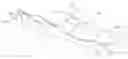 Fig. 01 - DOUBLE BLADED ICE SKATE
