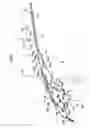 Fig. 03 - Vehicular hood structure