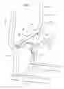 Fig. 04 - CAB FRAME BELTLINE MEMBER
