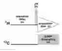 Fig. 01 - Nuclear Magnetic Resonance Method for Quantitative and Qualitative Measurement of Natural Products