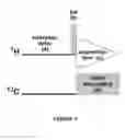 Fig. 02 - Nuclear Magnetic Resonance Method for Quantitative and Qualitative Measurement of Natural Products