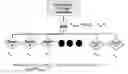 Fig. 01 - Authoritative display for critical systems
