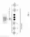 Fig. 02 - Authoritative display for critical systems
