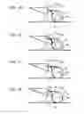 Fig. 09 - Image erasing apparatus for erasing image on sheet while carrying sheet