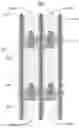 Fig. 01 - Pixel designs of improving the aperture ratio in an LCD