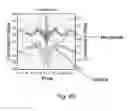 Fig. 09 - Method and device for tear film analysis