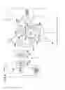 Fig. 04 - Projector apparatus