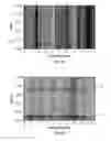 Fig. 06 - Method for passive seismic emission tomography using adaptive velocity filter