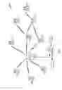 Fig. 02 - Multiband antenna for cooperative MIMO