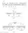 Fig. 02 - Network clock synchronization floating window and window delineation