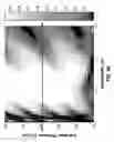 Fig. 06 - Sub-wavelength grating integrated VCSEL