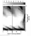 Fig. 06 - Sub-wavelength grating integrated VCSEL