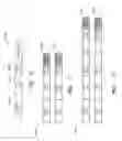 Fig. 17 - Flexible and in-band signaling for nested preamble