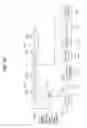 Fig. 46 - Transmitting/receiving system and method of processing broadcast signal in transmitting/receiving system