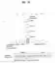 Fig. 11 - Method and apparatus for decoding/encoding a video signal