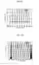 Fig. 24 - OPTICAL WAVEGUIDE-TYPE WAVELENGTH DISPERSION COMPENSATION DEVICE AND MANUFACTURING METHOD THEREOF