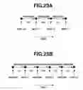 Fig. 24 - Imaging apparatus and method for controlling the same