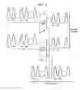 Fig. 08 - Point-to-multipoint high data rate delivery from optical node in HFC systems over existing and advanced coaxial networks