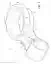 Fig. 02 - Stamped link for supporting an engine
