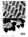 Fig. 02 - METHOD FOR THE MANUFACTURE OF NANOPARTICLES ON A CARBON SURFACE AND PRODUCTS THEREFROM