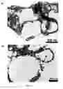 Fig. 03 - METHOD FOR THE MANUFACTURE OF NANOPARTICLES ON A CARBON SURFACE AND PRODUCTS THEREFROM