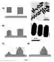 Fig. 06 - METHOD FOR THE MANUFACTURE OF NANOPARTICLES ON A CARBON SURFACE AND PRODUCTS THEREFROM