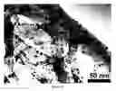 Fig. 09 - METHOD FOR THE MANUFACTURE OF NANOPARTICLES ON A CARBON SURFACE AND PRODUCTS THEREFROM