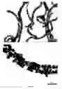 Fig. 11 - METHOD FOR THE MANUFACTURE OF NANOPARTICLES ON A CARBON SURFACE AND PRODUCTS THEREFROM